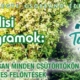 Tamási Termálfürdő programok 2025 április
